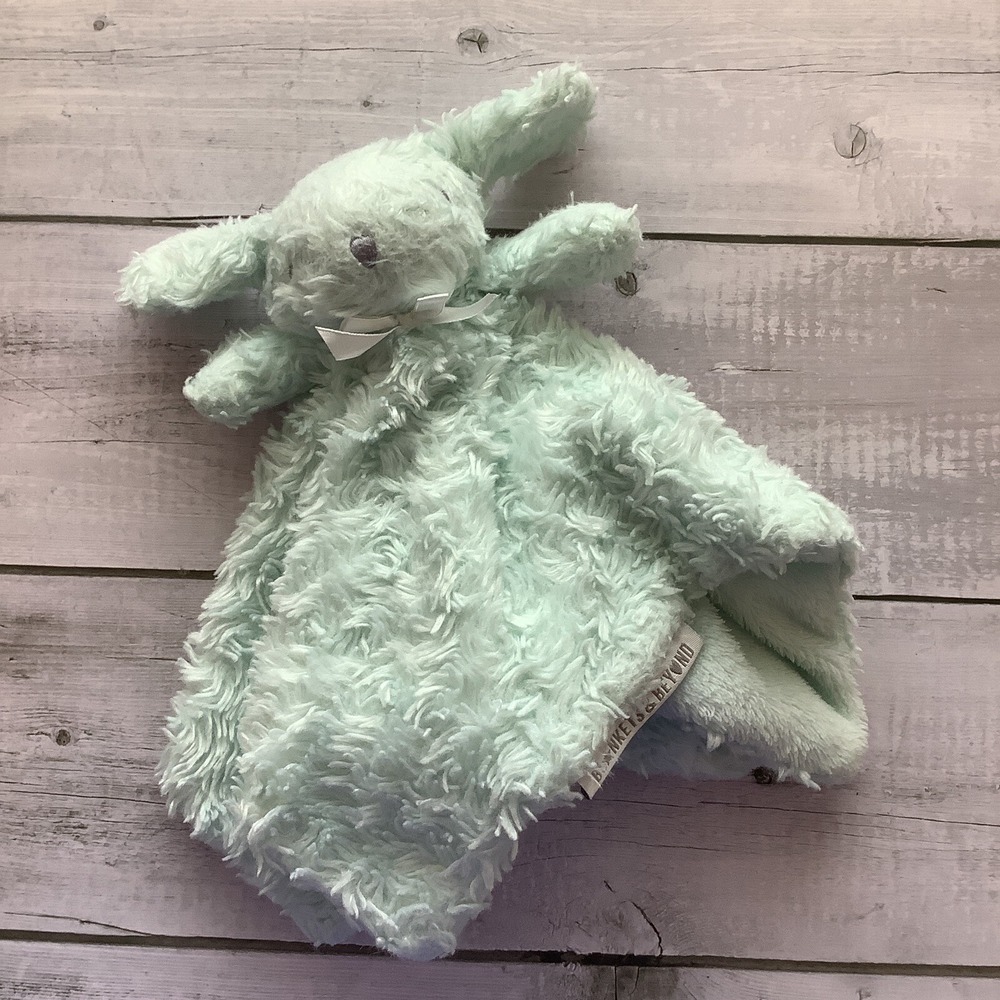 Blankets & Beyond‎ Mint Green Bunny Rabbit Lovey Security Baby Rosettes